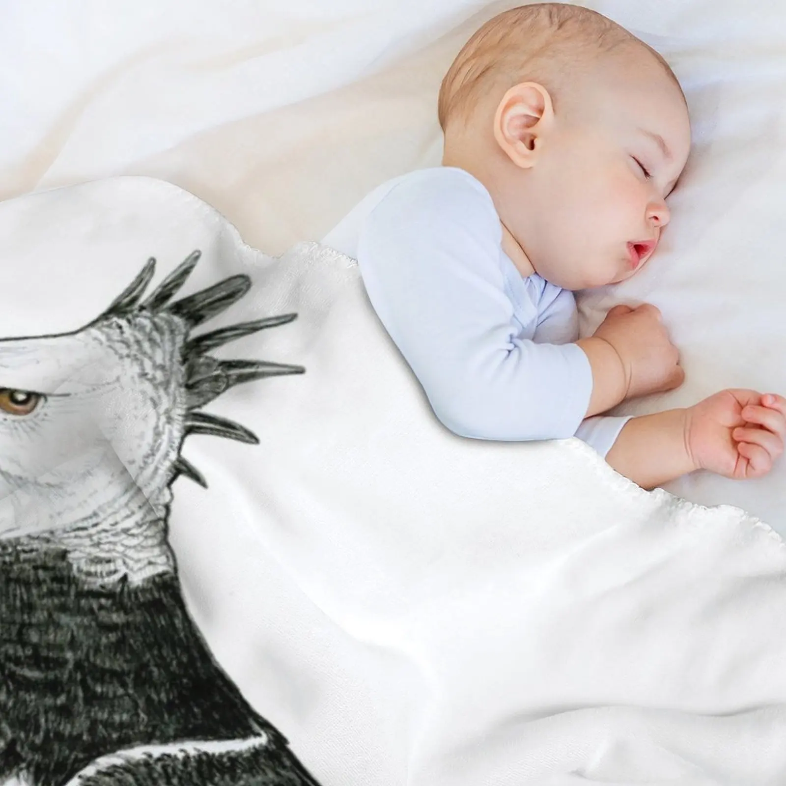 Harpy Eagle in Old Man Velcro  - Men Shoes Velcro recension och pris